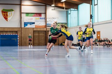Bild 263 - F HSG Kremperheide/Muensterdorf - HSG HerKollNeu : Ergebnis: 43:29